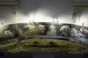 Latvijas māksliniece Katrīna Levāne saņem Ziemeļvalstu un Baltijas Jaunā mākslinieka "Grand Prix"