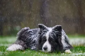 Latviju sasniegs auksts atmosfēras fronte – gaidāms lietus un sniegs, termometrs var noslīdēt līdz -5 grādiem