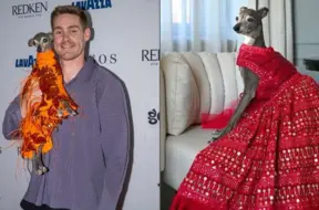 Modei un stilam veltītā suņu zvaigzne Tika the Iggy mirusi 14 gadu vecumā