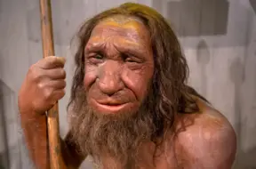 Neandertalieši nav izmiruši: pētījums liecina par masveida asimilāciju Homo sapiens populācijā