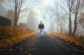 Nedēļas nogalē Latvijā valdīs bieza mākoņu sega un veidosies migla