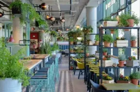 Noslēdzies SIA "Kirsons Design Group" maksātnespējas process; Evija Ķirsone-Slavinska turpina darbu Igaunijā