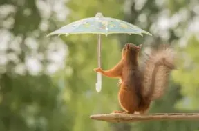 Otrdien Latvijā gaidāmi lietus, pērkona negaiss un lokāli krusa