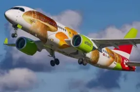 “Paldies, par ideju!” – vai airBaltic lidmašīnām uzziedēs sēņu dizains?