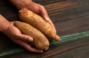 Pasaules bīstamākie ēdieni: manioka, фугу un nāvējošā mušmire – ko labāk nebaudīt