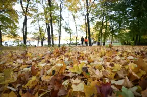 Piektdien Latvijā spīdēs saule un gaidāmi neparasti silti laikapstākļi