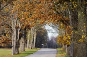 Piektdien Latvijā uzspīdēs saule, gaiss sasils un varētu krist siltuma rekordi