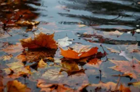 Pirmdien Latvijā dominēs mākoņains un lietains laiks, īpaši Kurzemē un Vidzemē