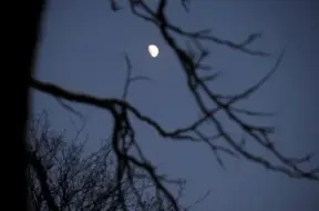 Policija lūdz kriminālvajāšanu par jaunietes nāvi Jelgavas šosejas avārijā