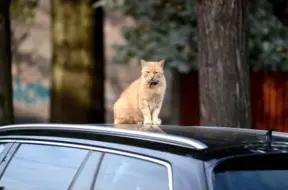 Rudens pārsteidz: Latvijā septembra sākums bijis ievērojami siltāks nekā ierasts, laboti siltuma rekordi