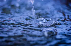 Saulkrastu novadā no ūdenstilpes izcelts bojāgājis cilvēks; dienesti skaidro apstākļus