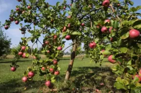 Sestdien Latvijā gaidāms sauss un saulains laiks ar patīkamu siltumu līdz +23 grādiem