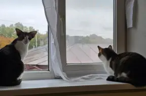 Svētdien Latvijā prognozē drēgnu un mākoņainu laiku, iespējams arī slapjš sniegs