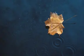 Svētdiena Latvijā: dūmakaina un pavēsa, aicina baudīt nesteidzīgu rītu