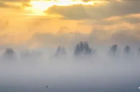 Svētdiena Latvijā: pelēcīga, mitra un ar miglas iespējamību