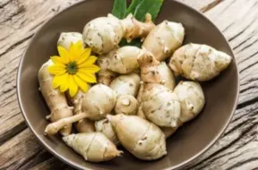 Topinambūrs: kas tas par augu un kā to pagatavot?