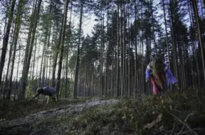 Trešdien Latvijā gaidāms vēl siltāks laiks līdz pat +13 grādiem