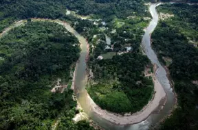 Tropu mežu glābšanas fonds: Brazīlijas cerība vai jauns koloniālisma veids?