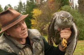 Uģis Bergmanis: 11 gados glābis un aprūpējis ap 70 plēsīgo putnu