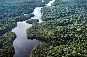 Vācija sniegs ievērojamu atbalstu Brazīlijas tropu mežu saglabāšanas iniciatīvai