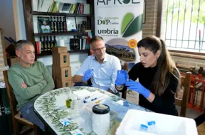 Vai jūsu olīveļļa ir īsta? Kā DNS testi palīdz "Pārtikas detektīviem" atklāt krāpniecību