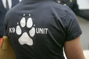 Valsts policijas kinoloģe ar suni Thoru izcīna zelta un sudraba medaļas Pasaules čempionātā ASV