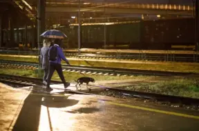 Vētraina un lietaina ceturtdiena Latvijā: Temperatūra sasniegs +12 grādus, piekrastē stiprs vējš