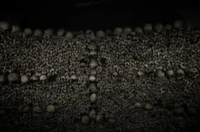 Vīnes katedrālē atgriežas nozagts galvaskausu: noslēpumainu sūtījumu saņem pirms dzīves beigām