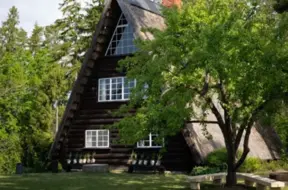 Ziedoņa muzejs cīnās par izdzīvošanu: Vai valsts nenodos kultūras mantojumu?