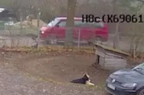 Ziepniekkalnā svešinieks ar sarkanu busiņu mēģināja uzrunāt bērnu