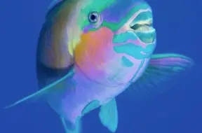 Zivis, kuras maina dzimumu bada laikā: zinātnieku atklājums