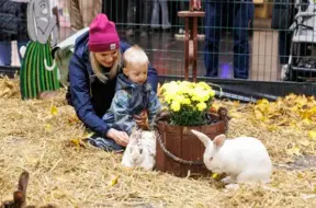 “ZooExpo 2025” Ķīpsalā: divas dienas prieka kopā ar mīluļiem un ģimeni