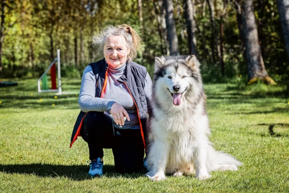 Aļaskas malamuti Bentlijs un Leksuss: sportisti un smaidīgie kanisterapeiti Anitas Reines dzīvē