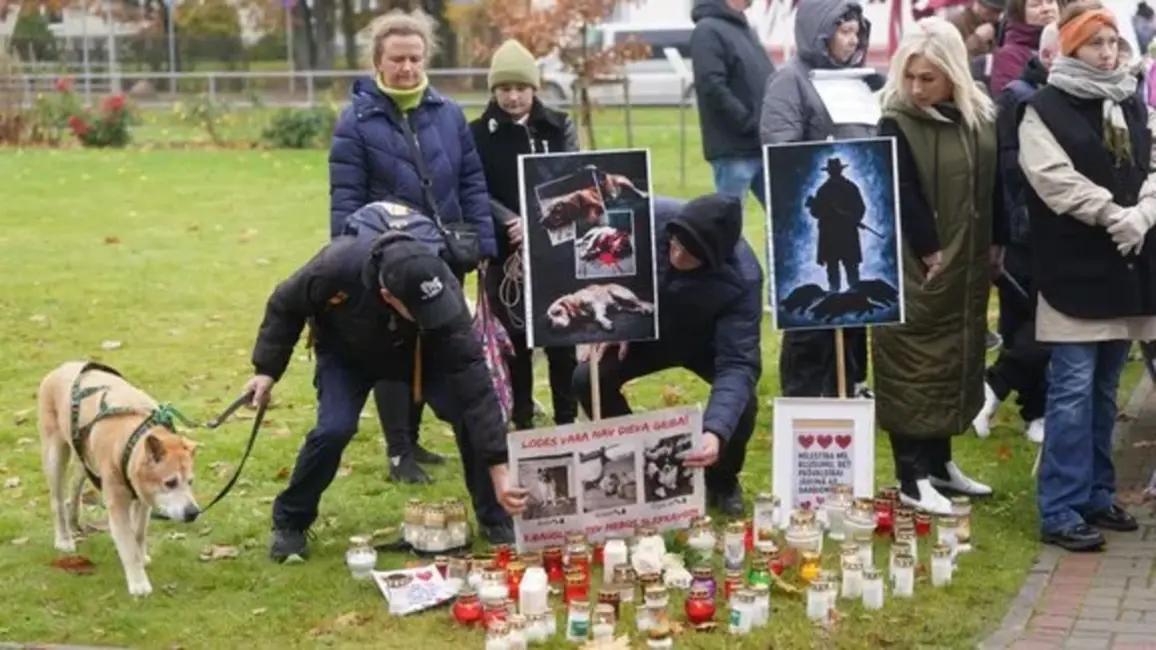 Bauskā piketā pieprasa deputātu iesaisti suņu nošaušanas lietā