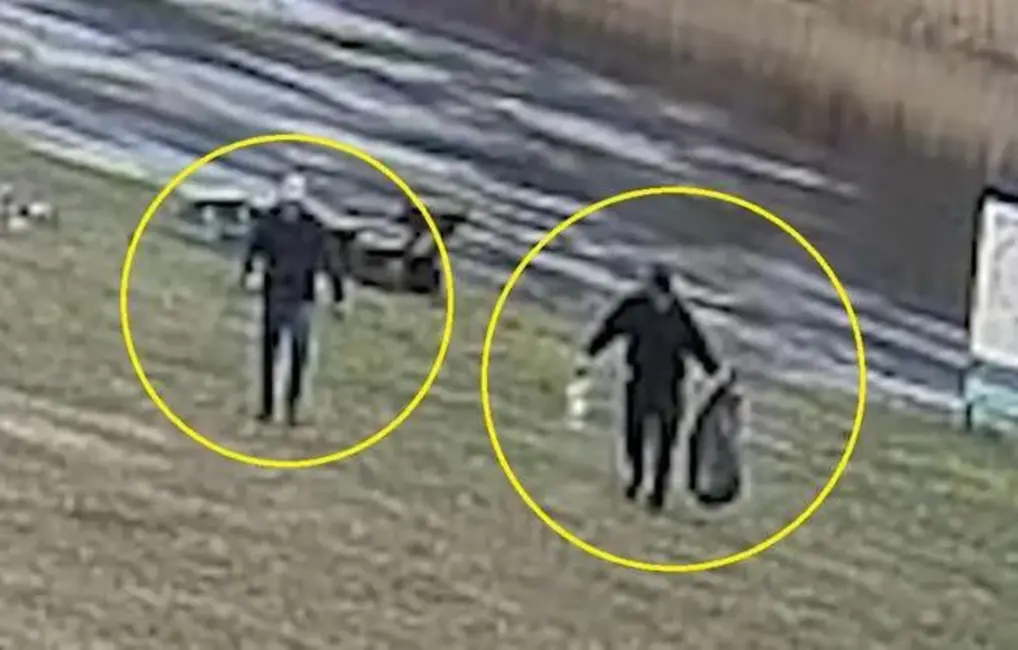 Carnikavas gulbja spīdzinātājiem draud cietumsods