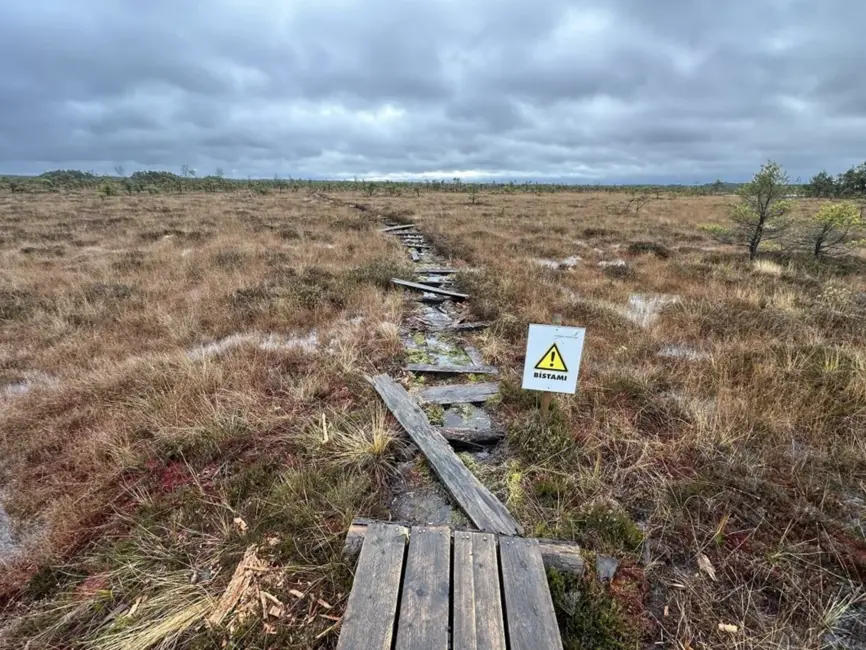 Dunikas purva taku atjauno trīs kilometru garumā; apmeklētājus aicina būt piesardzīgiem