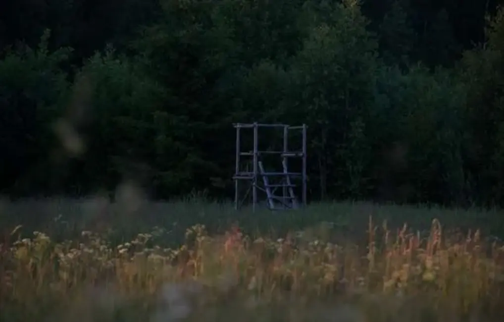 Jauns pavērsiens lāča nošaušanas lietā Ogres novadā: mednieks ar pagātni