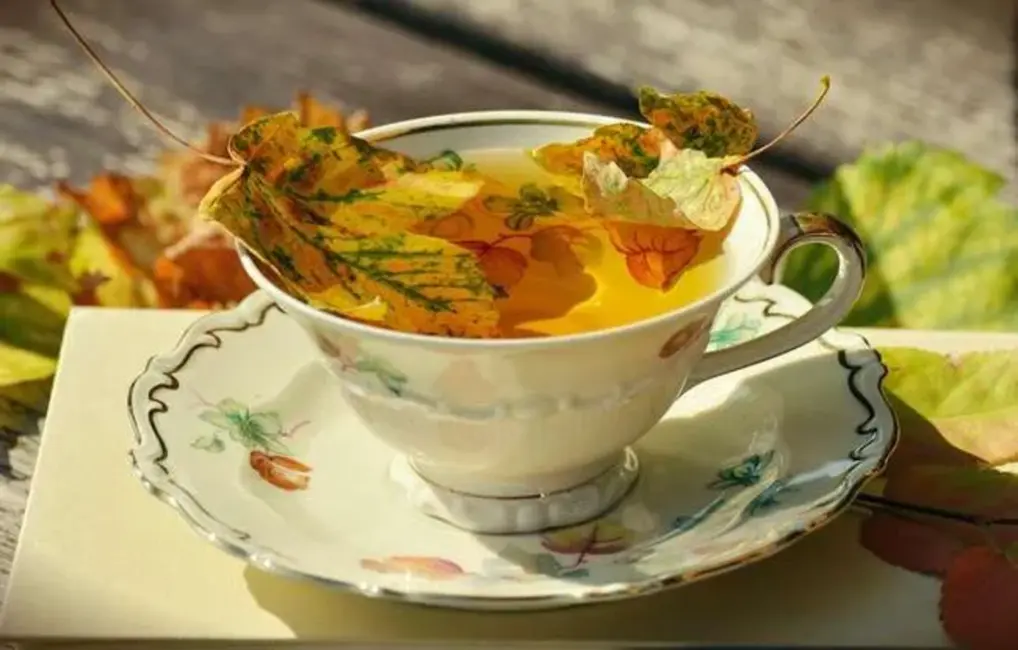 Kā stiprināt imunitāti rudens vīrusu sezonā: praktiski padomi veselībai