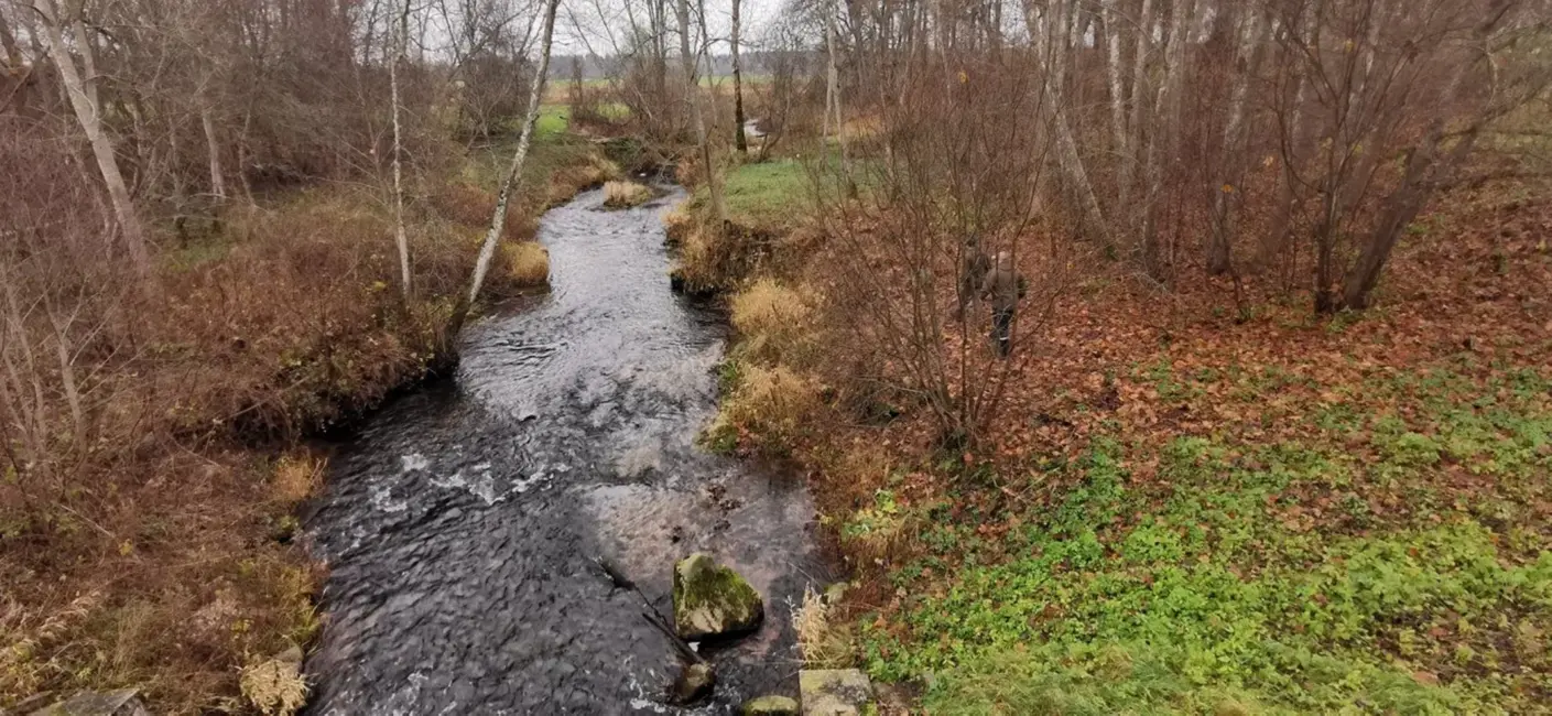 Lašveidīgo zivju nārsta laikā šoruden novērots zemāks maluzvejniecības līmenis