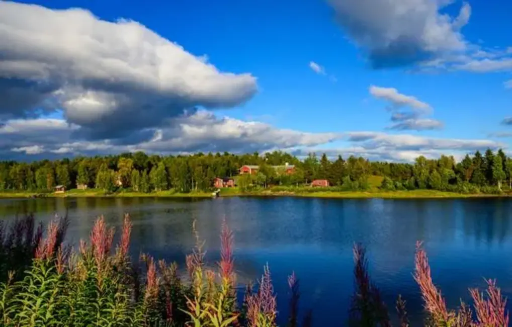 Latvija izraksta dabu: Kā zaļā terapija uzlabo veselību