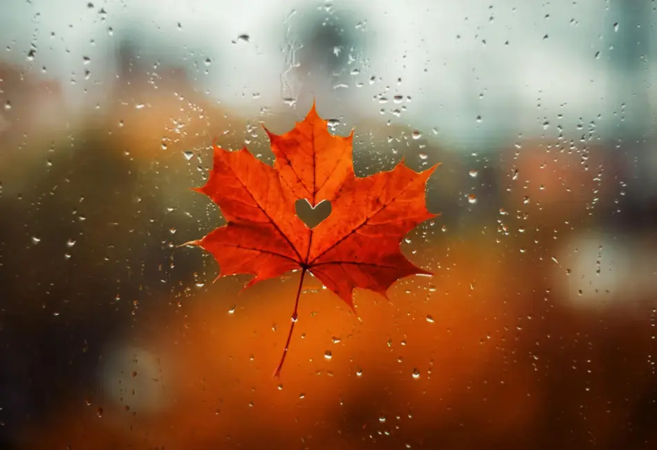 Naktī Latviju sasniegs lietus mākoņi, piekrastē gaidāms stiprs vējš