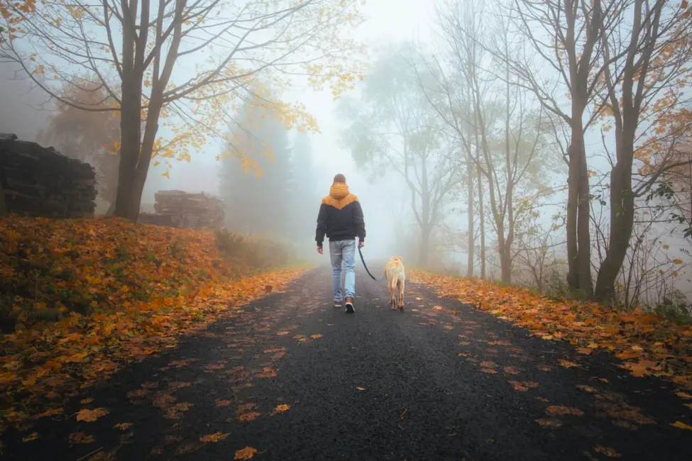 Nedēļas nogalē Latvijā valdīs bieza mākoņu sega un veidosies migla