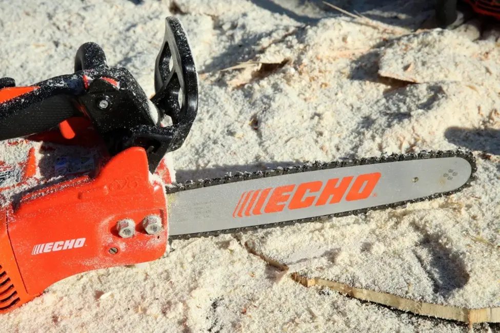 Par dižkoku iznīcināšanu draud milzīgi naudas sodi līdz pat 81 000 eiro