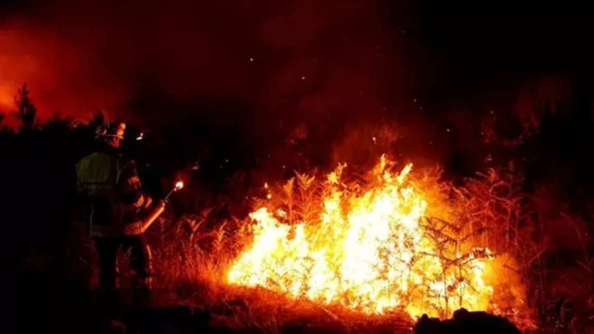Plašs Meža Ugunsgrēks Horvātijas Piekrastē: Evakuēti Iedzīvotāji un Tūristi pie Splitas
