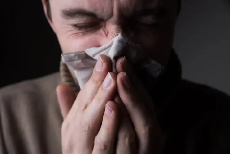 Rudens bez iesnām – kā stiprināt imunitāti un izvairīties no vīrusiem?