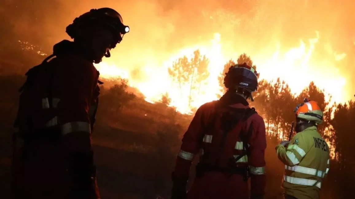 Spāniju plosa lieli meža ugunsgrēki: tūkstošiem hektāru pelnos, simtiem evakuēto
